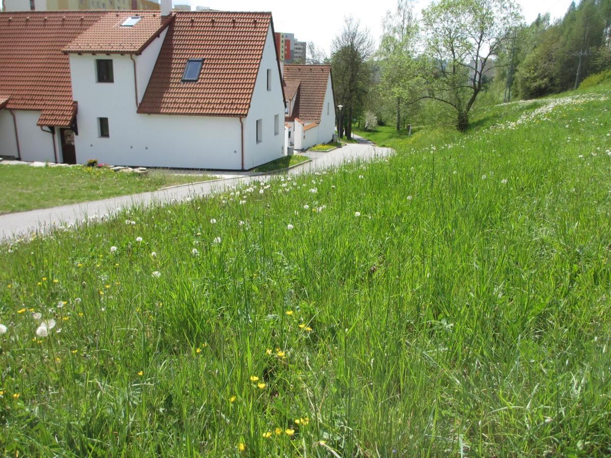 Apartmany U Prochazku Český Krumlov Exterior foto